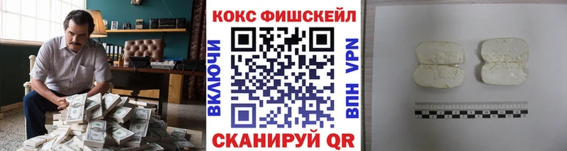 Cocaine FishScale  купить наркотики цена  Западная Двина 