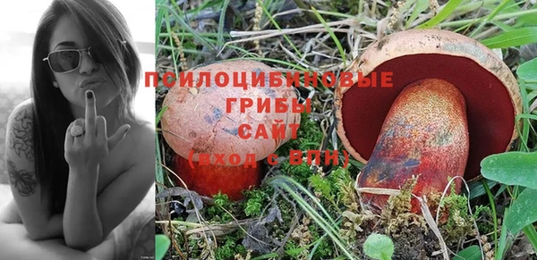 мяу мяу кристалл Алексин