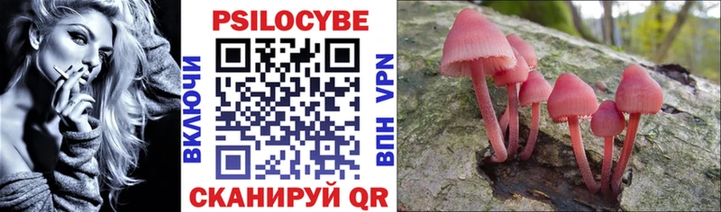 как найти наркотики Западная Двина Псилоцибиновые грибы MAGIC MUSHROOMS