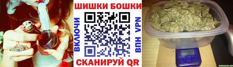 Каннабис план  Западная Двина 